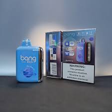 什麽是拋棄式電子煙？